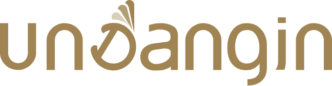 undangin.com logo